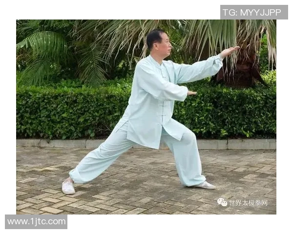 太极拳招式名称的独特魅力与深厚文化内涵探讨