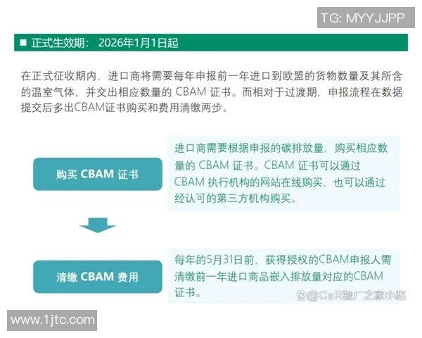 欧盟推出碳边境调节机制，实现全球气候目标？